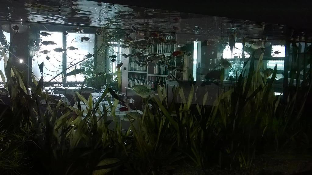 Locanda Ai Due Orsi Μιλάνο Δωμάτιο φωτογραφία
